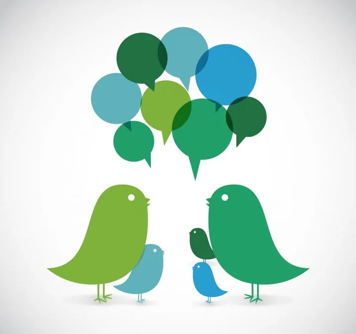 Talking Birds e1530709573817