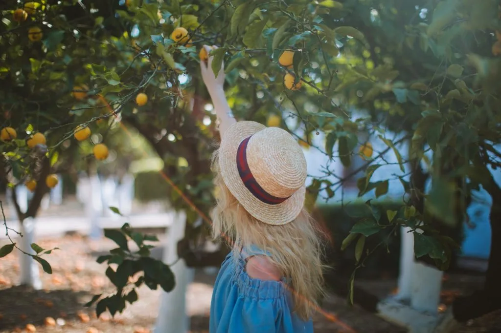 woman in blue dress and a hat reaching for a fruit 4208122 scaled