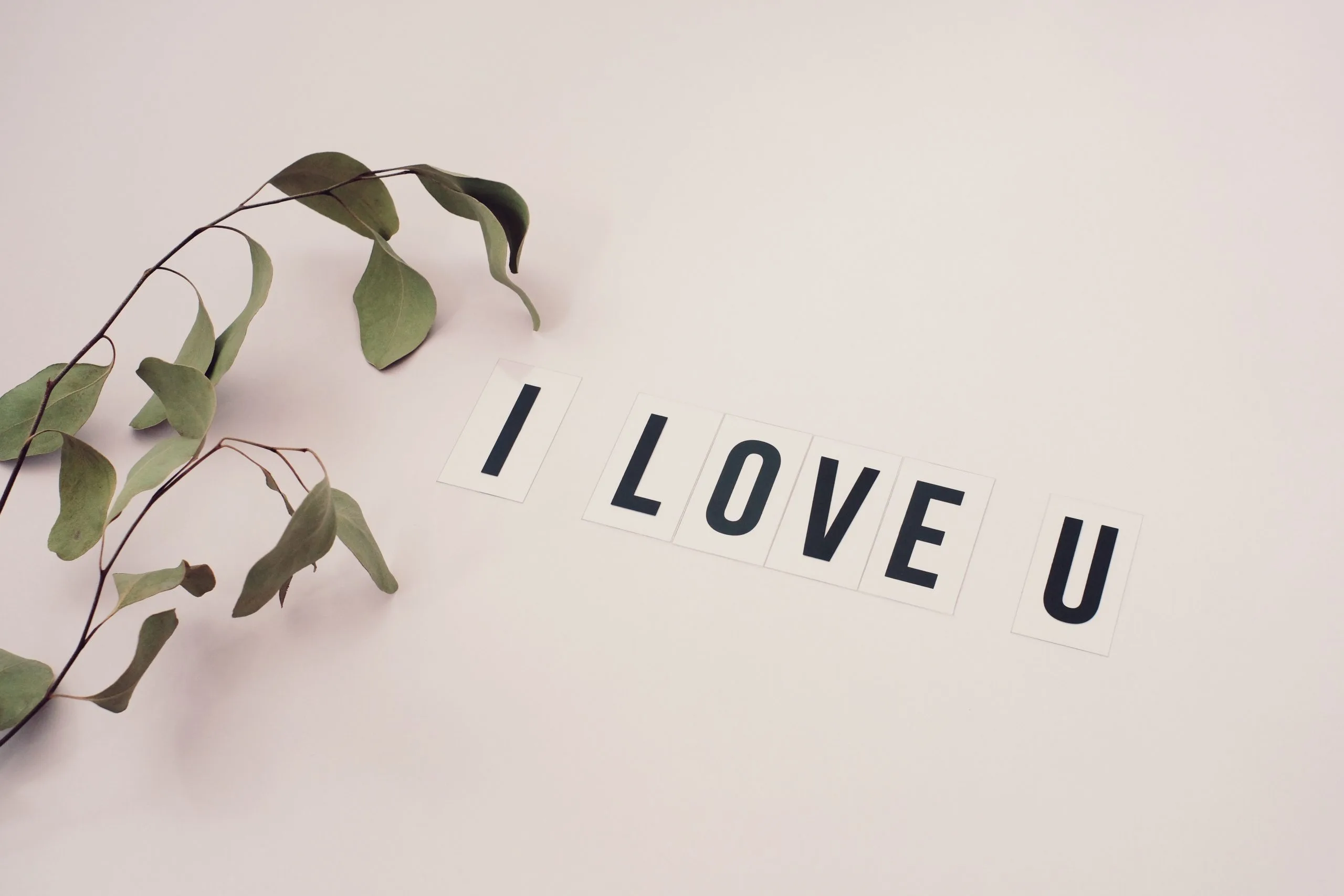 Loveisaname De ce te iubesc