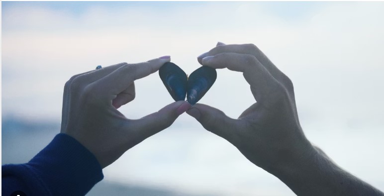semne iubire loveisaname