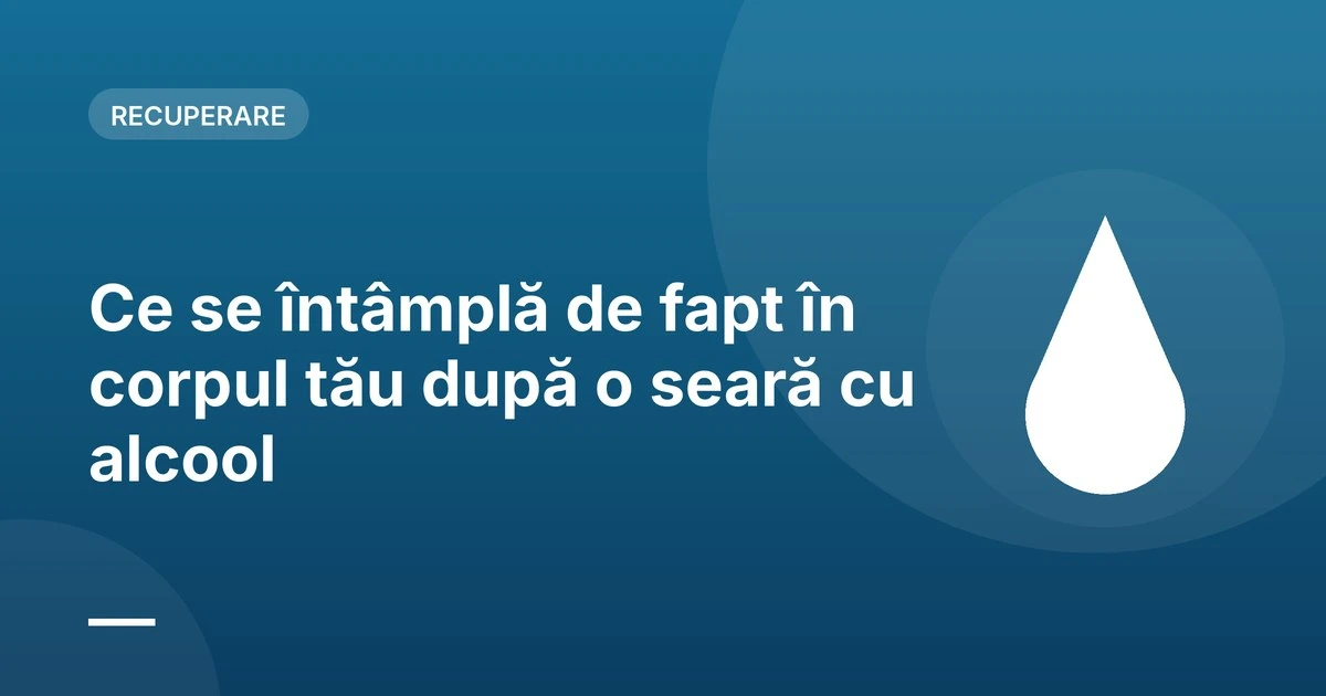 Ce se întâmplă de fapt în corpul tău după o seară cu alcool 1 alcool corp